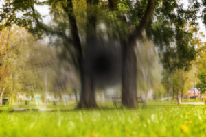 Age Related Macular Degeneration